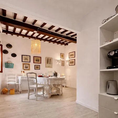 La Cartomante Di Bonaparte