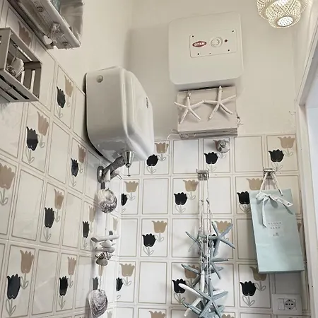 La Cartomante Di Bonaparte