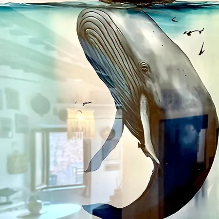 La Cartomante Di Bonaparte 포르토페라이오