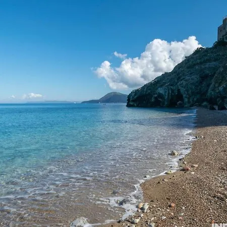 La Cartomante Di Bonaparte *